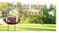 Sporty Yard Signs Single Sided