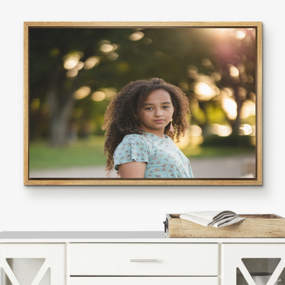 Framed Canvas