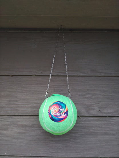 Sports Ball Gift Basket/Piggy Bank