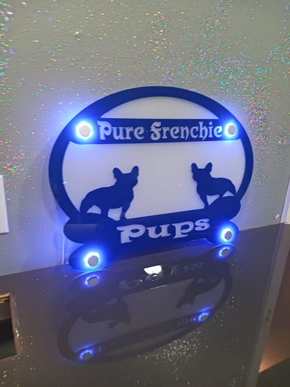 LED Back Lit 2 Color Signage