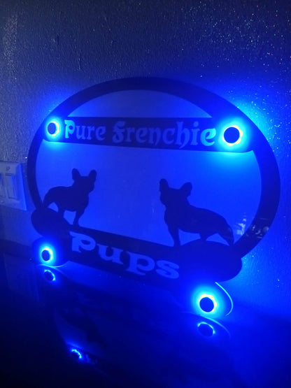 LED Back Lit 2 Color Signage